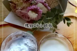 人体奶油写真,艺术与美的独特融合