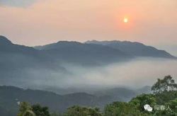 阳春拍摄写真,春意盎然，光影交织的美丽瞬间