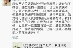 小姐姐延期创业,小姐姐创业梦延期的温馨故事