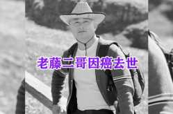 网红老滕,揭秘网络红人的崛起之路