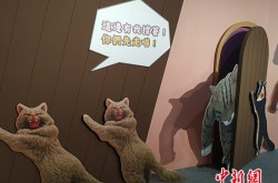 台湾写真：“喵星人”也疯狂_写真频道